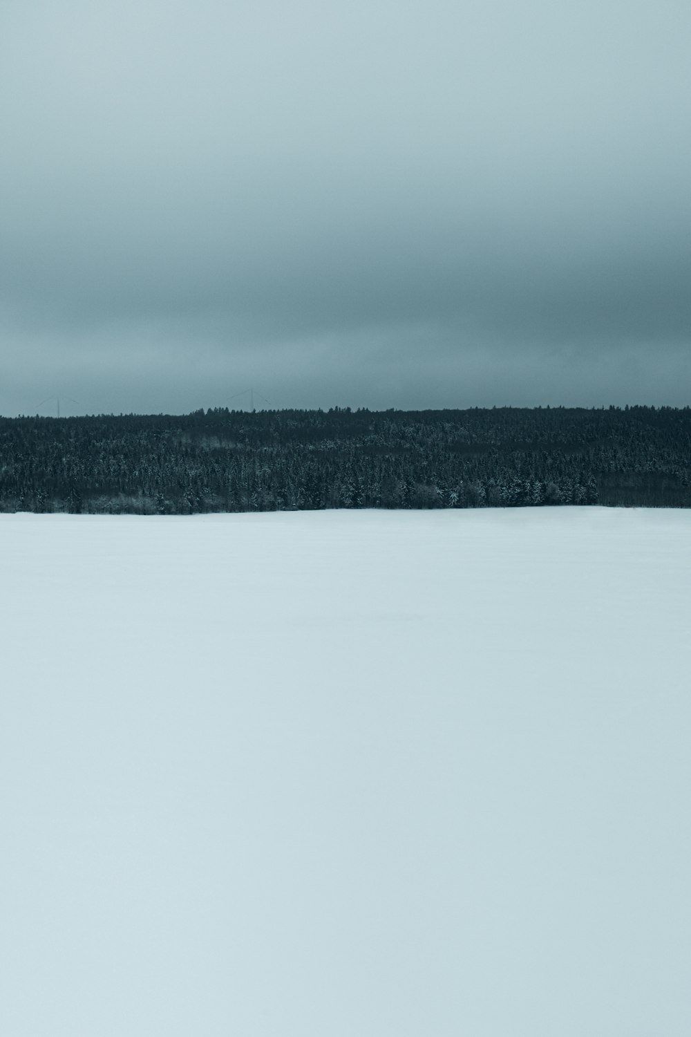 snow covered field and trees during daytime