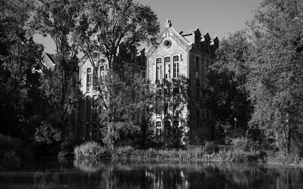 grayscale photo of trees near building