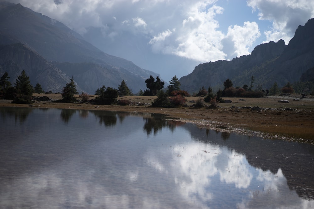 green trees near lake under white clouds and blue sky during daytime