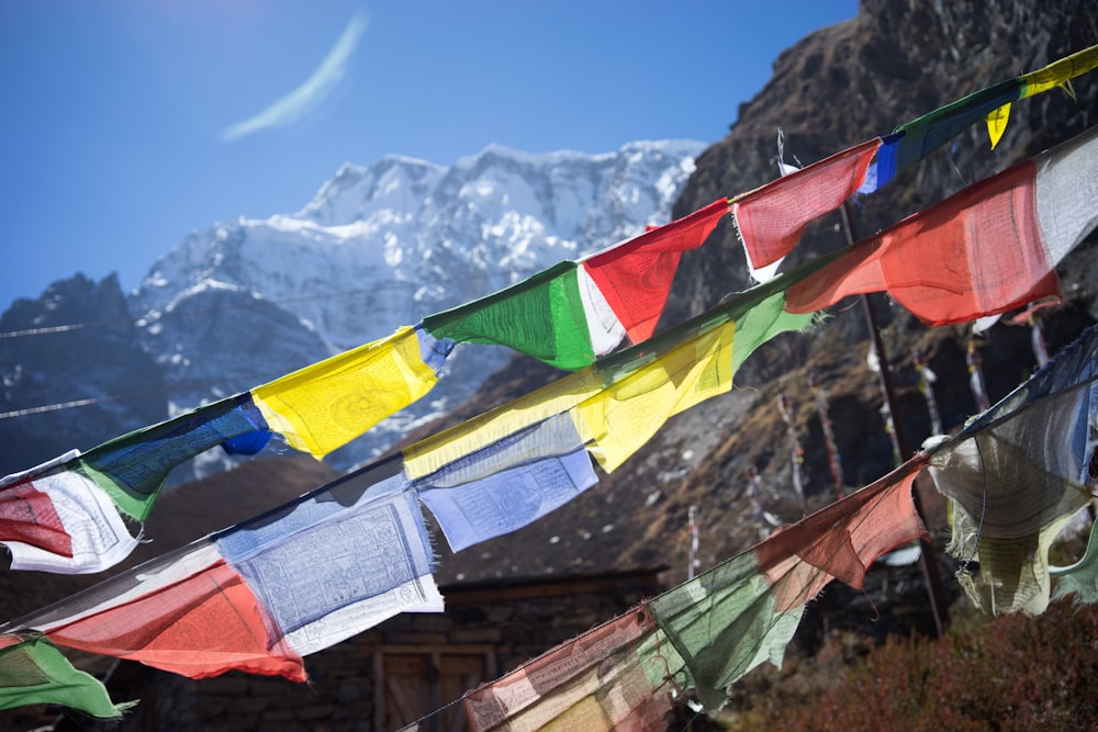 assorted color textiles on roof