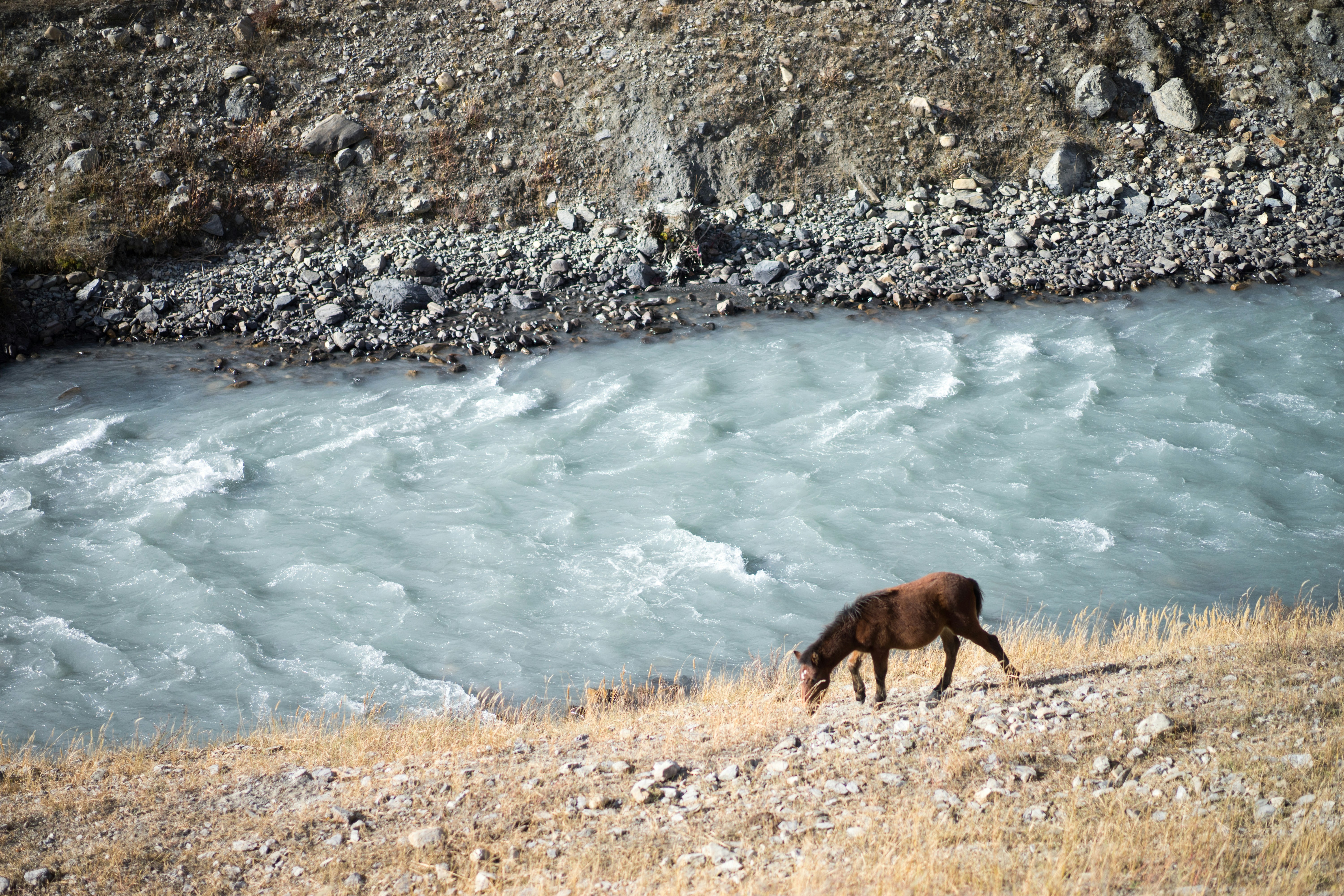 Photo by raimondklavins