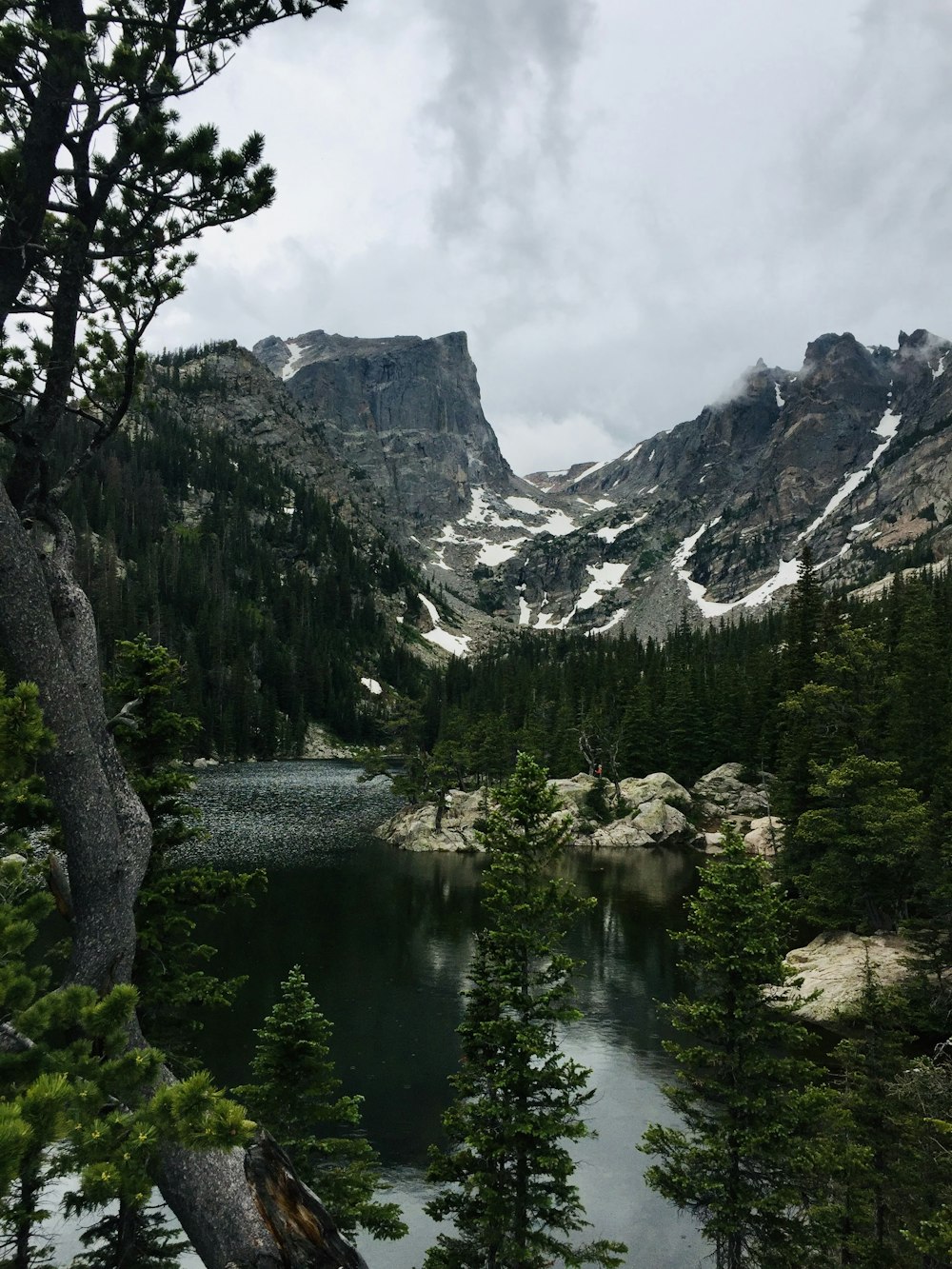 alberi verdi vicino al lago e alle montagne durante il giorno