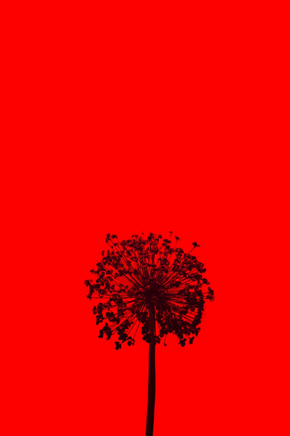 赤と黒の木のイラスト