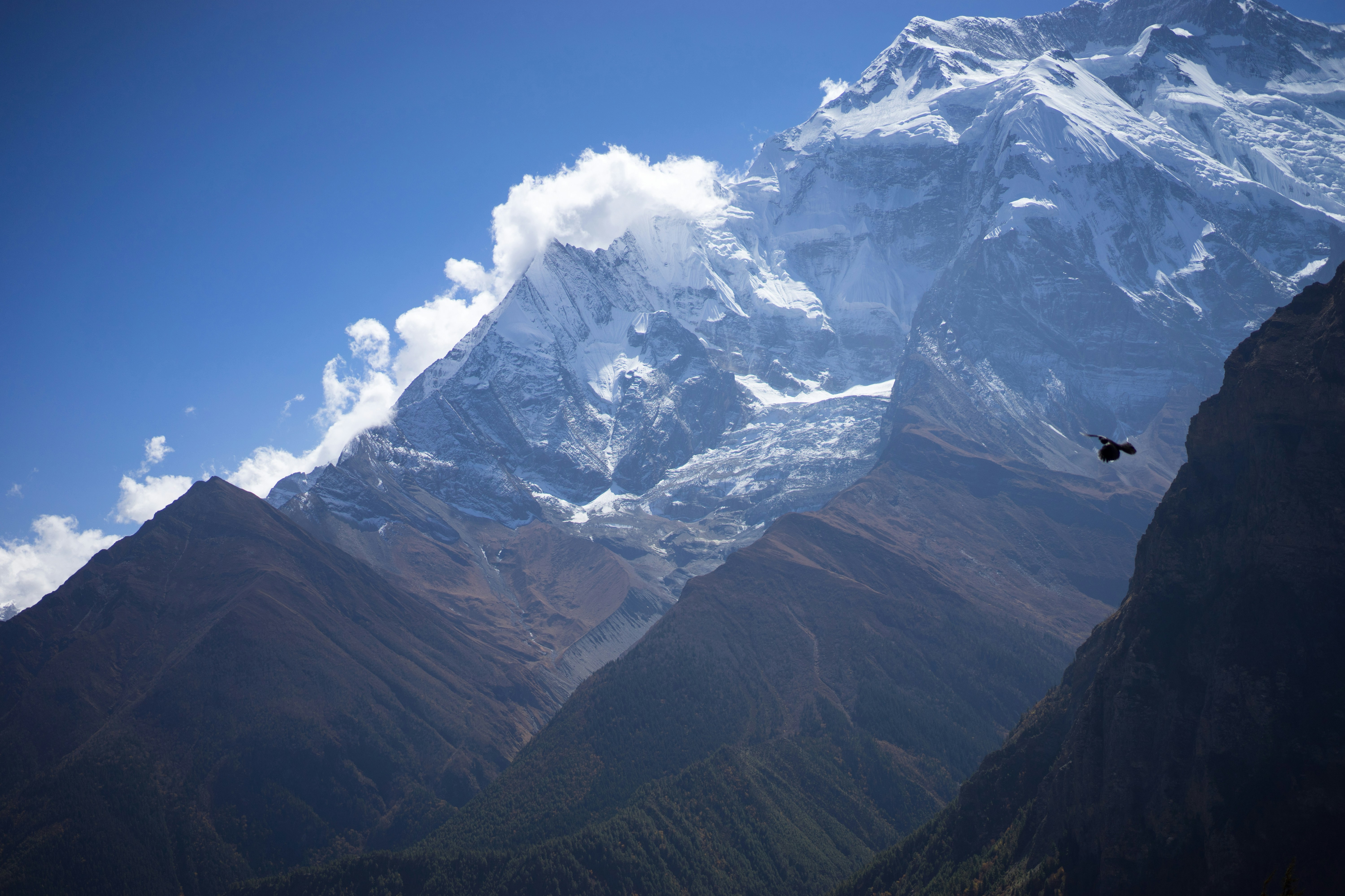 Keefe, Bruyette & Woods Maintains Outperform on Everest Group, Lowers Price Target to $400