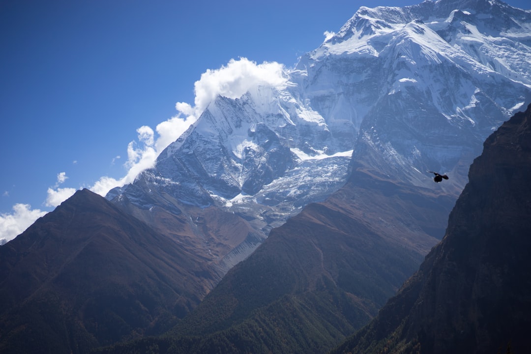 snow covered mountain under blue sky during daytime