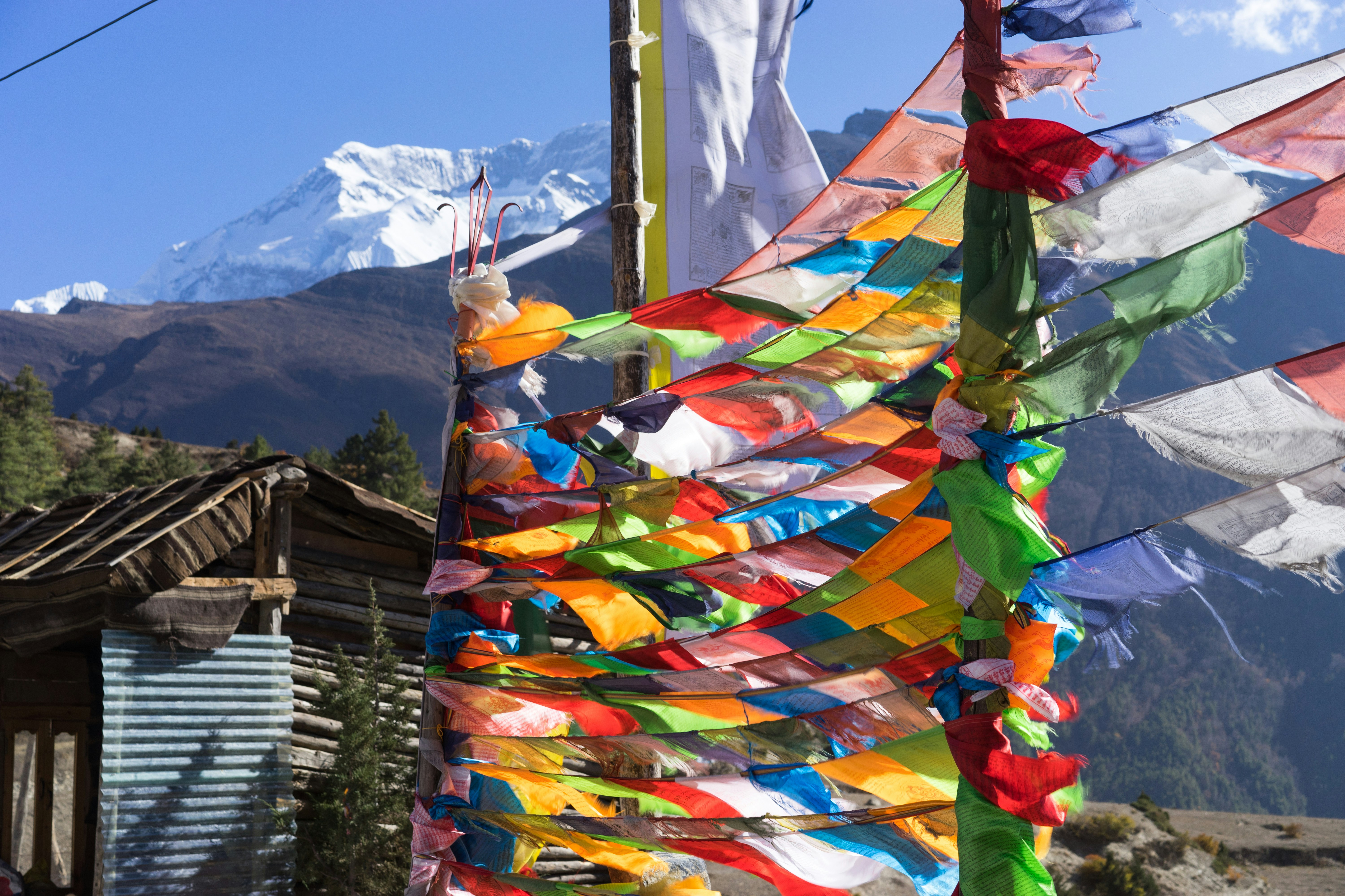 7 Himalayan Routes Famous for Local Festivals
