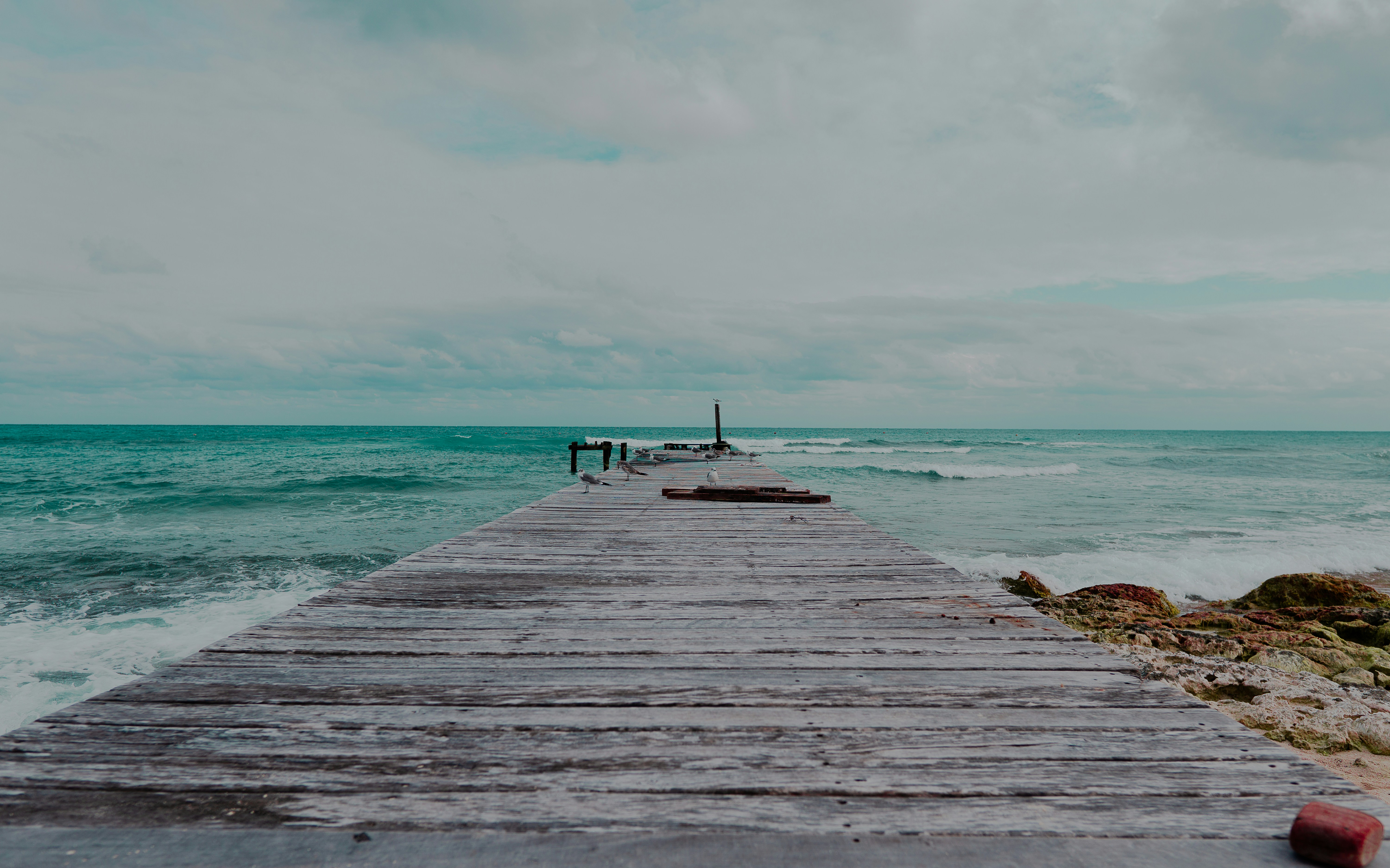 Photo by csolorzanoe