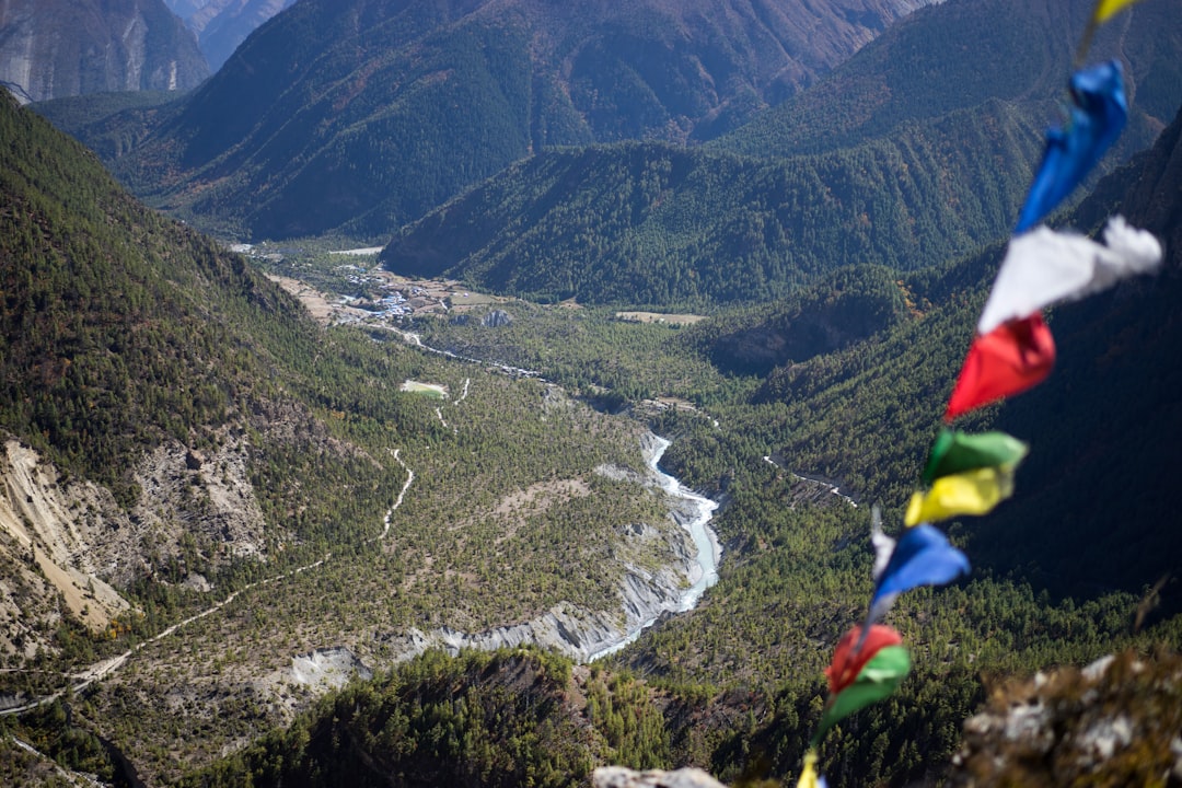 aerial view of green mountains during daytime