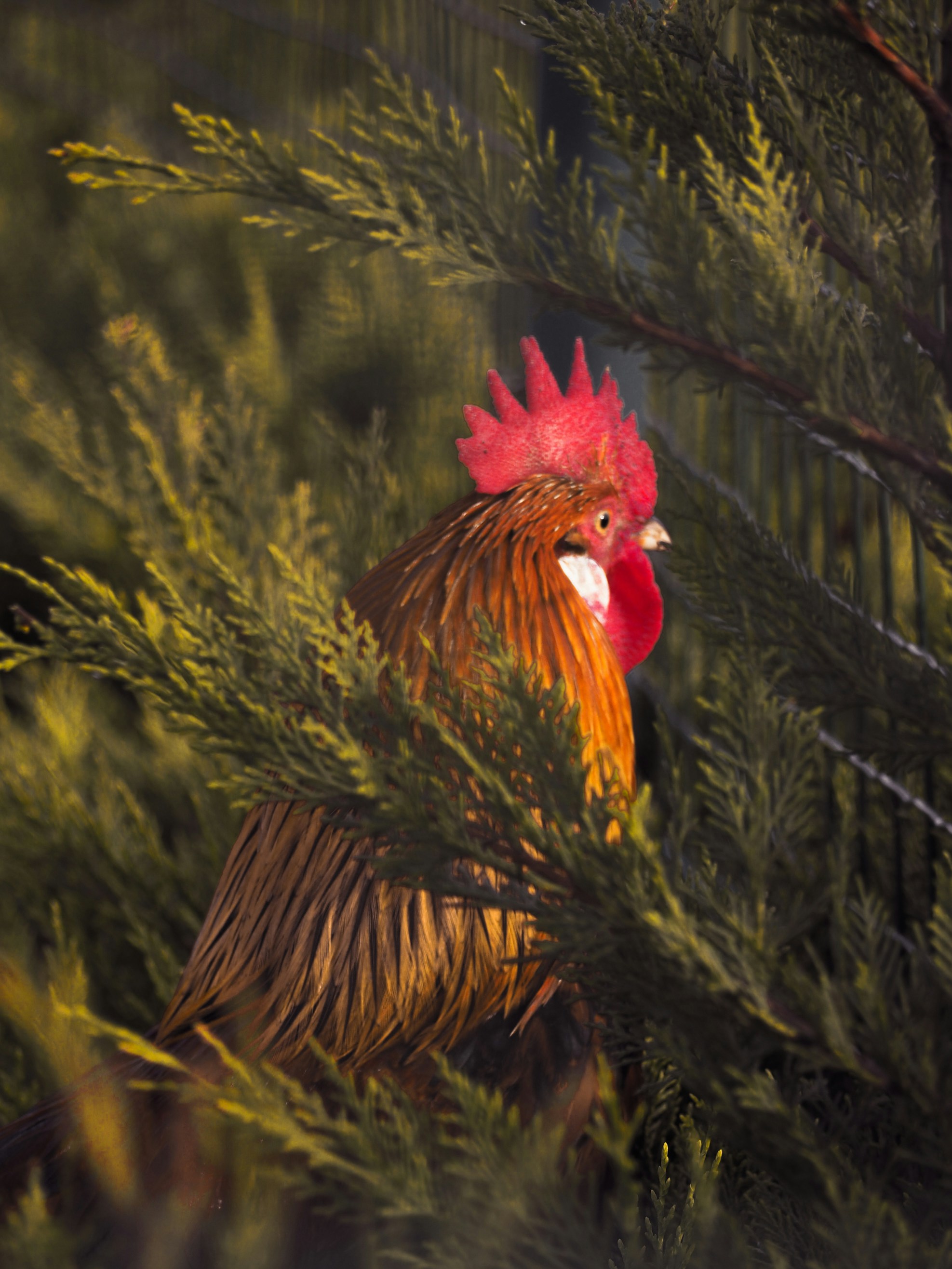 Photo by studiowattier