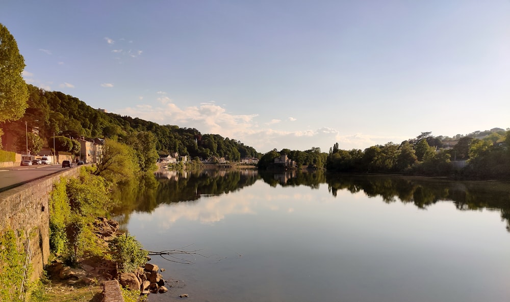 green trees beside river under blue sky during daytime