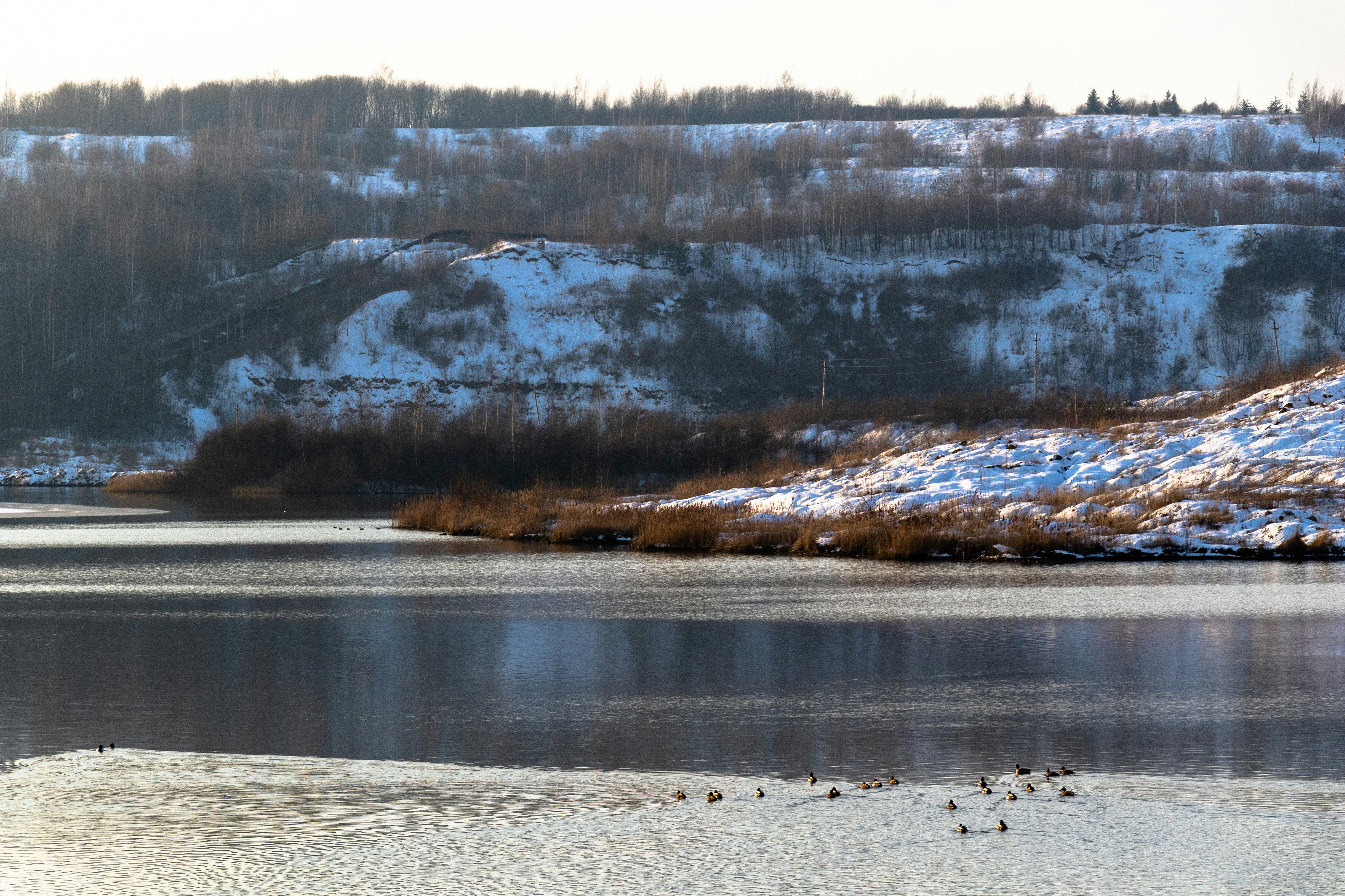 Photo by osobist