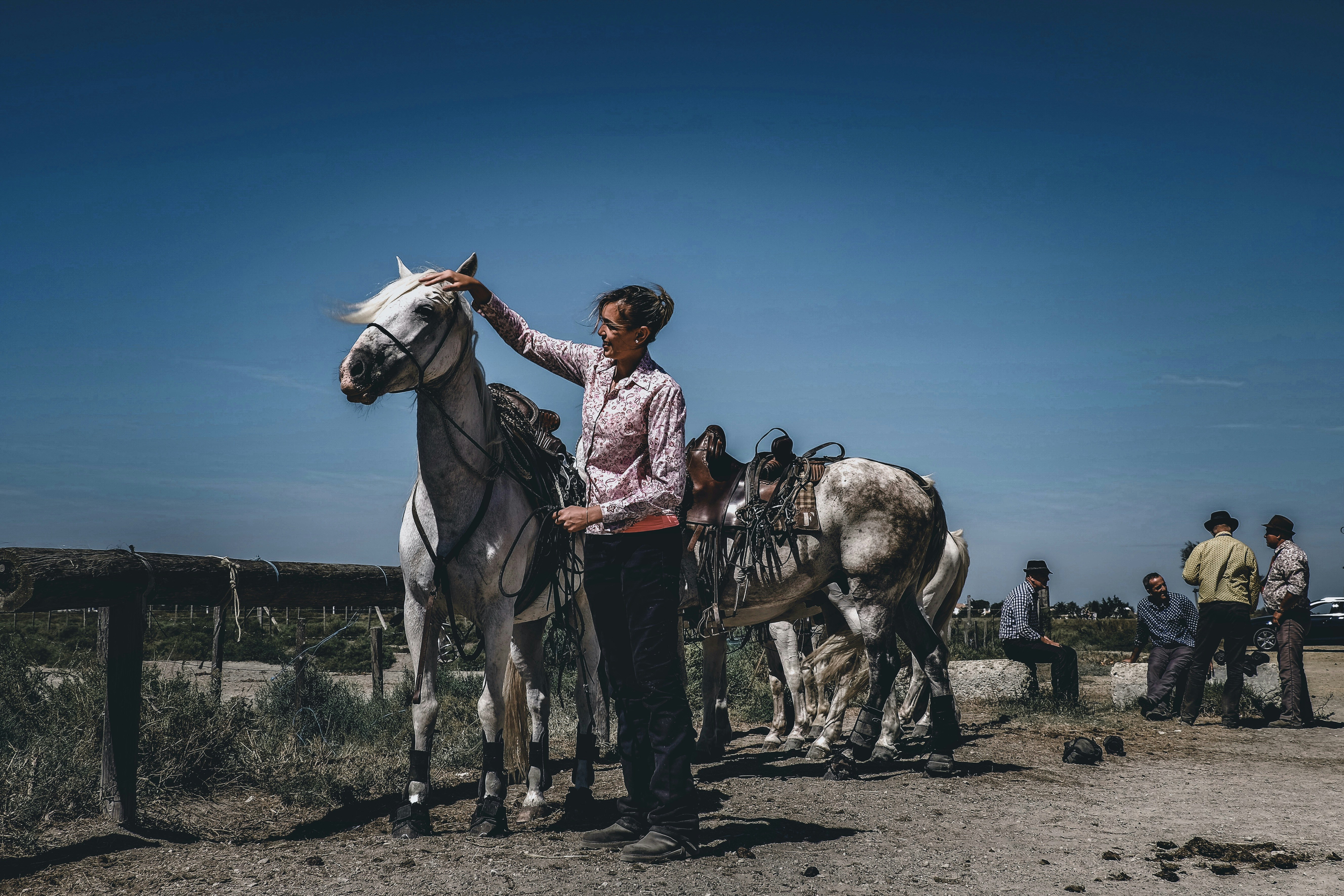 Agrovet el Arca de Noe Dra. Chaquinga Martillo Andrea