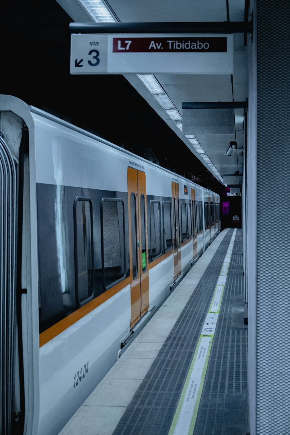 white and black train in train station