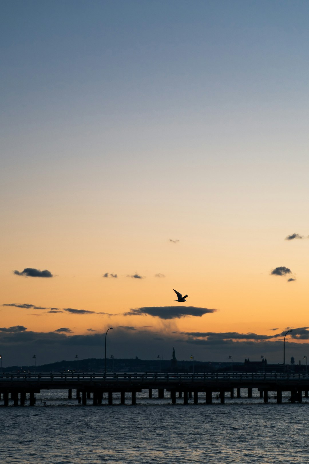 birds flying over the sea during sunset