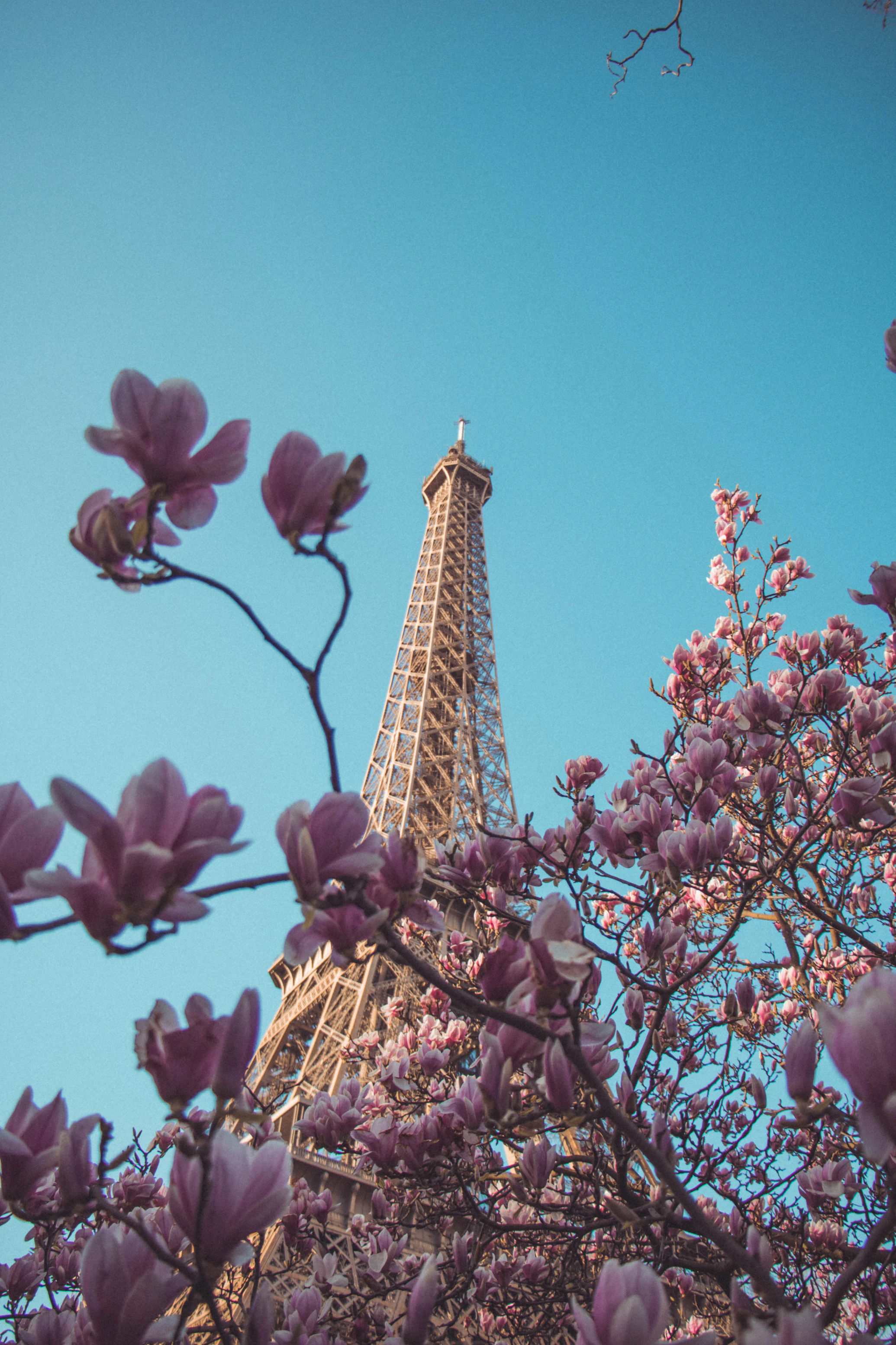 Eiffel Tower in spring, Paris
