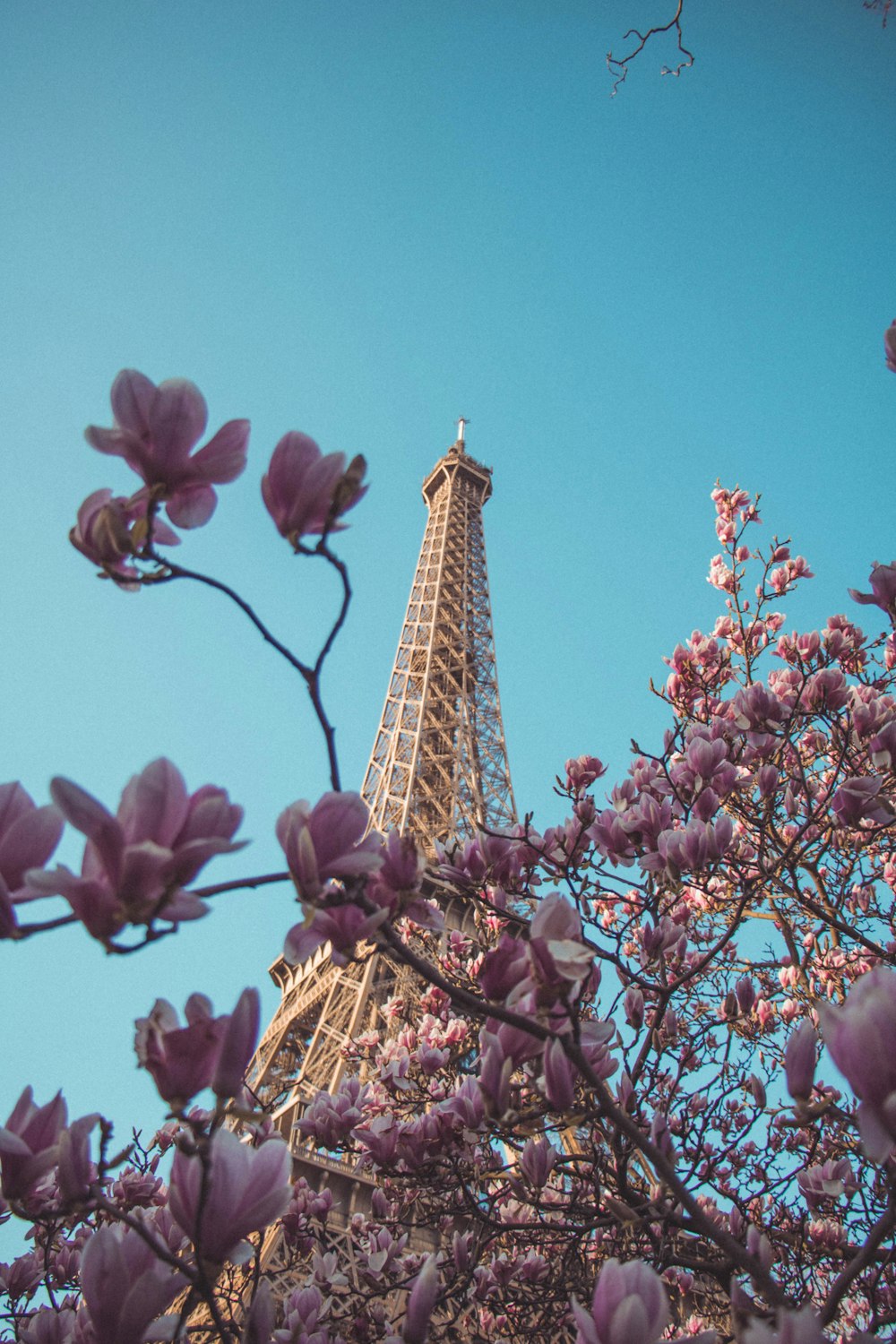 eiffel tower under blue sky during daytime