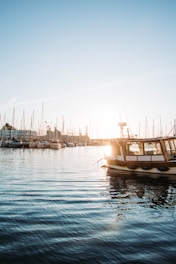body of water during sunset with sailboats