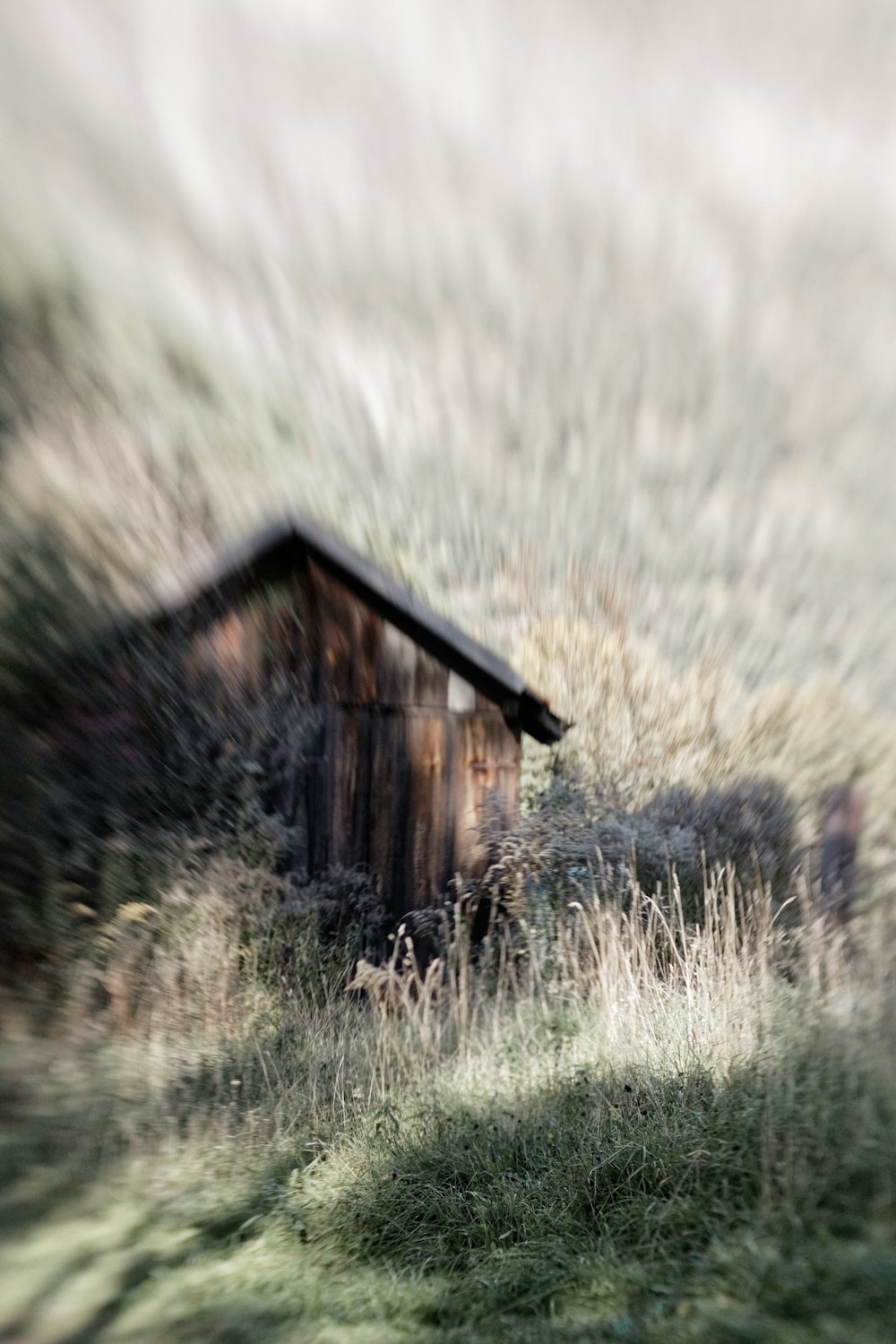 昼間の緑の芝生の上の茶色の木造家屋