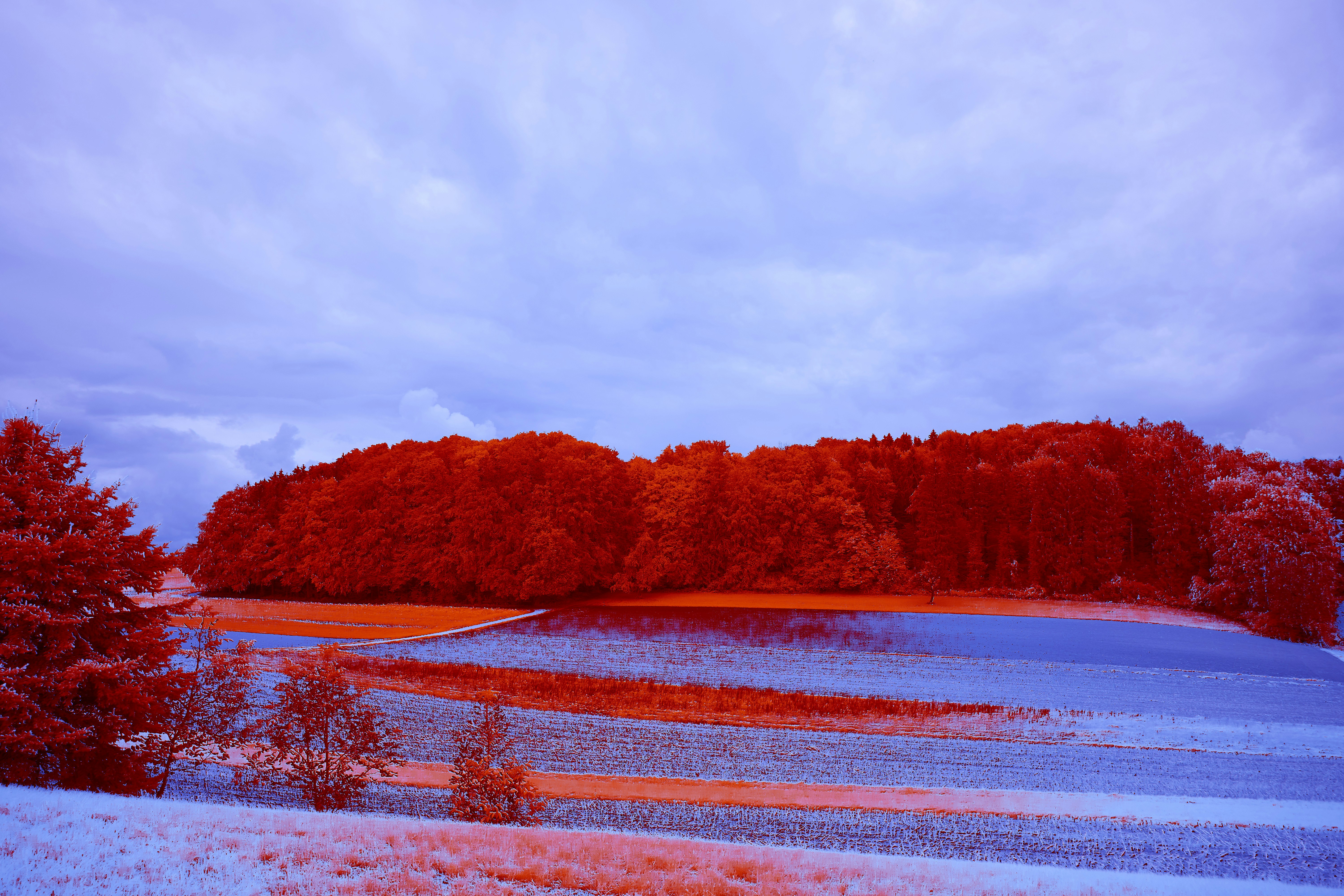 Pacchetto Foto Natura