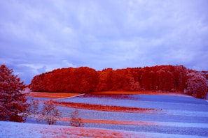 Before and after photo enhancement showcasing a vibrant landscape.