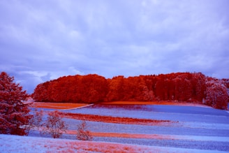 Before and after photo enhancement showcasing a vibrant landscape.