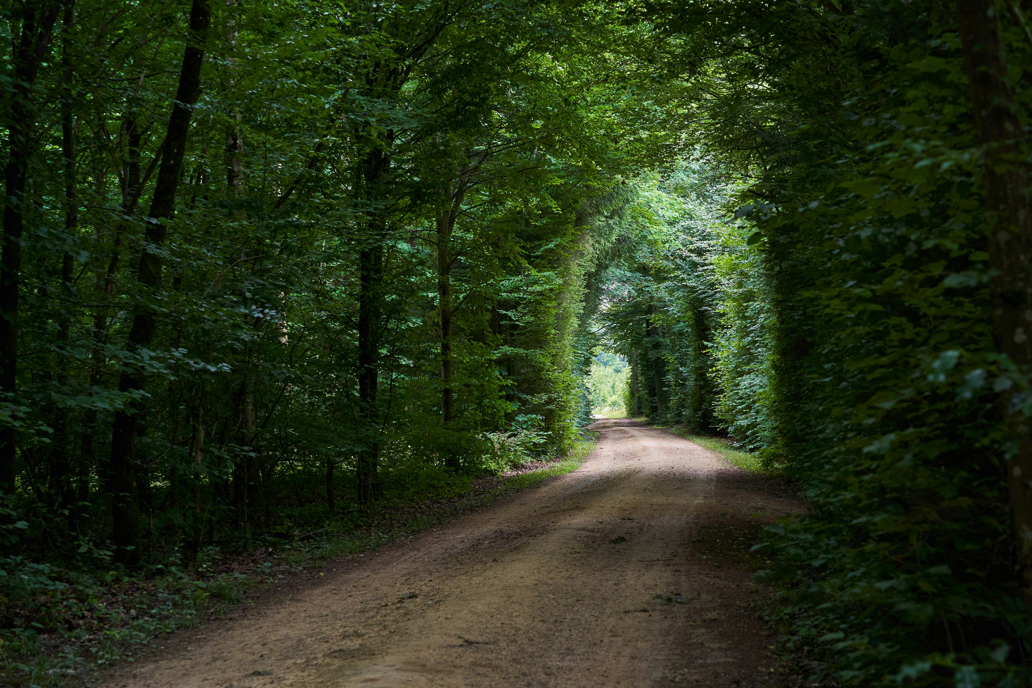 Photo by wolfgang_hasselmann