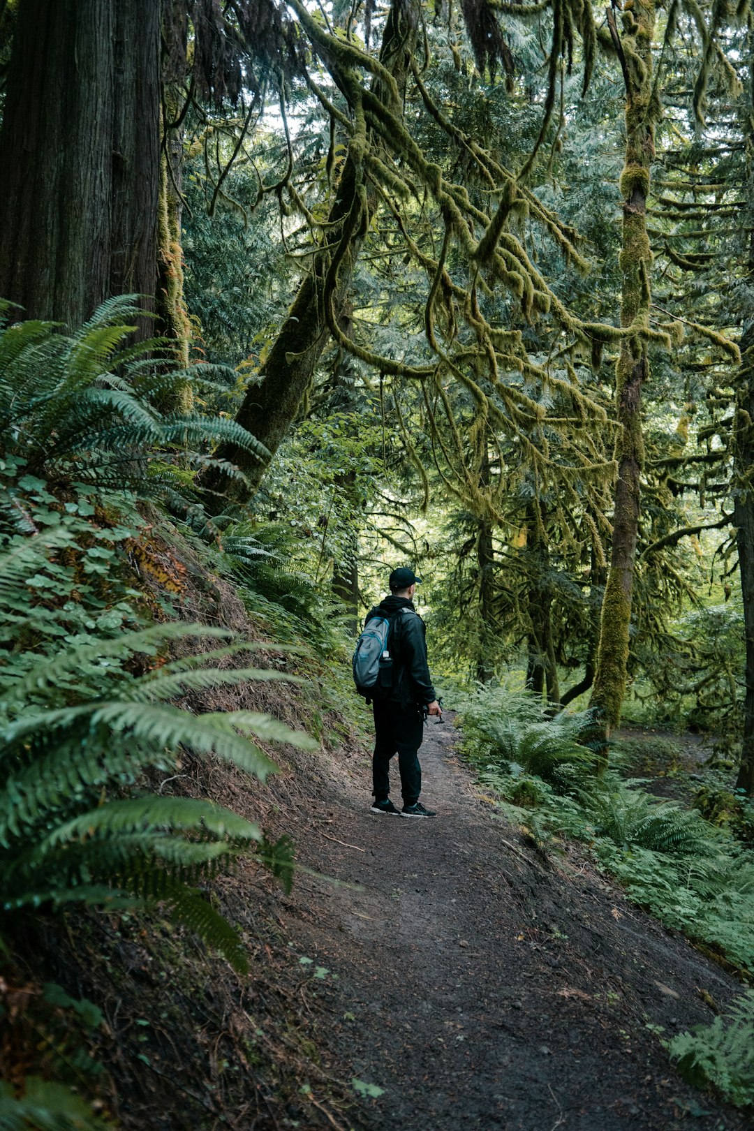 man in black jacket walking on pathway in between green plants during daytime