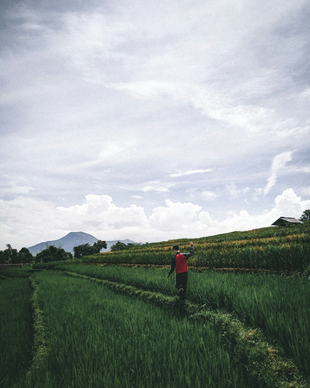 person in red jacket standing on green grass field under white cloudy sky during daytime