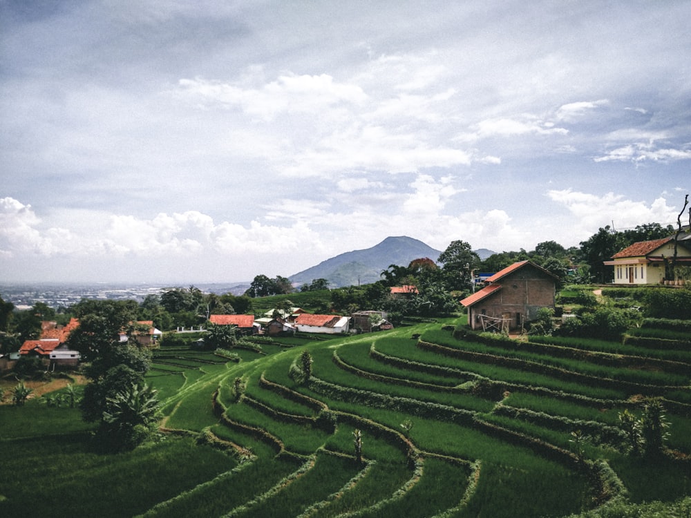 houses on green grass field under white clouds during daytime