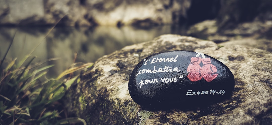 black and red heart shaped stone