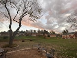 A residential neighborhood with several houses surrounded by trees. The foreground features a brick patio with outdoor metal furniture, including chairs and tables. An expansive grassy backyard is visible, leading up to a row of houses. The sky is overcast with dramatic, textured clouds displaying hints of pink and orange, suggesting a sunset or sunrise.