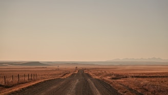 brown field under white sky during daytime