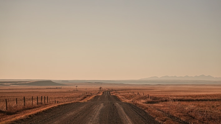 brown field under white sky during daytime