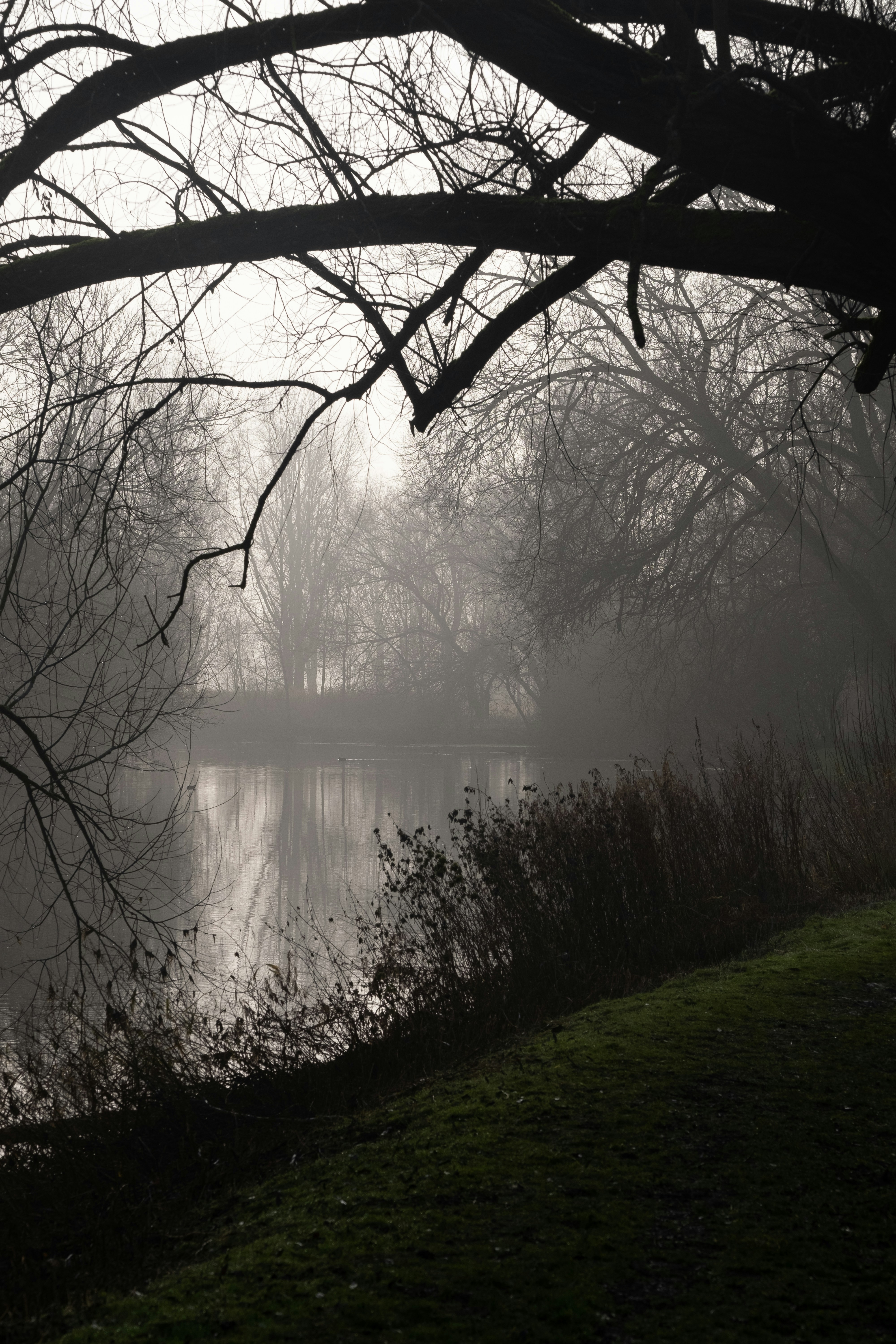 Photo by roger3010