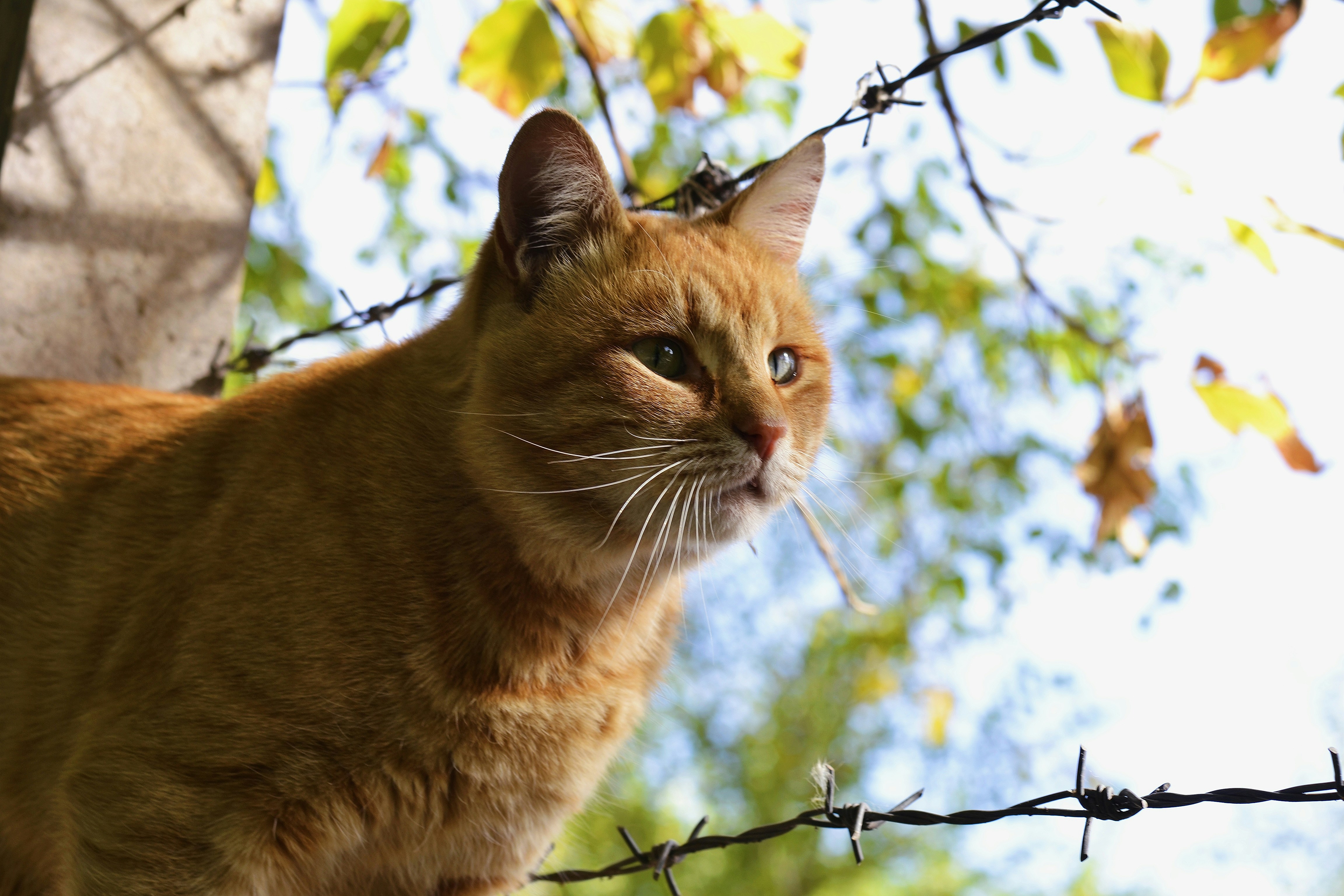 Photo by anastasiiad