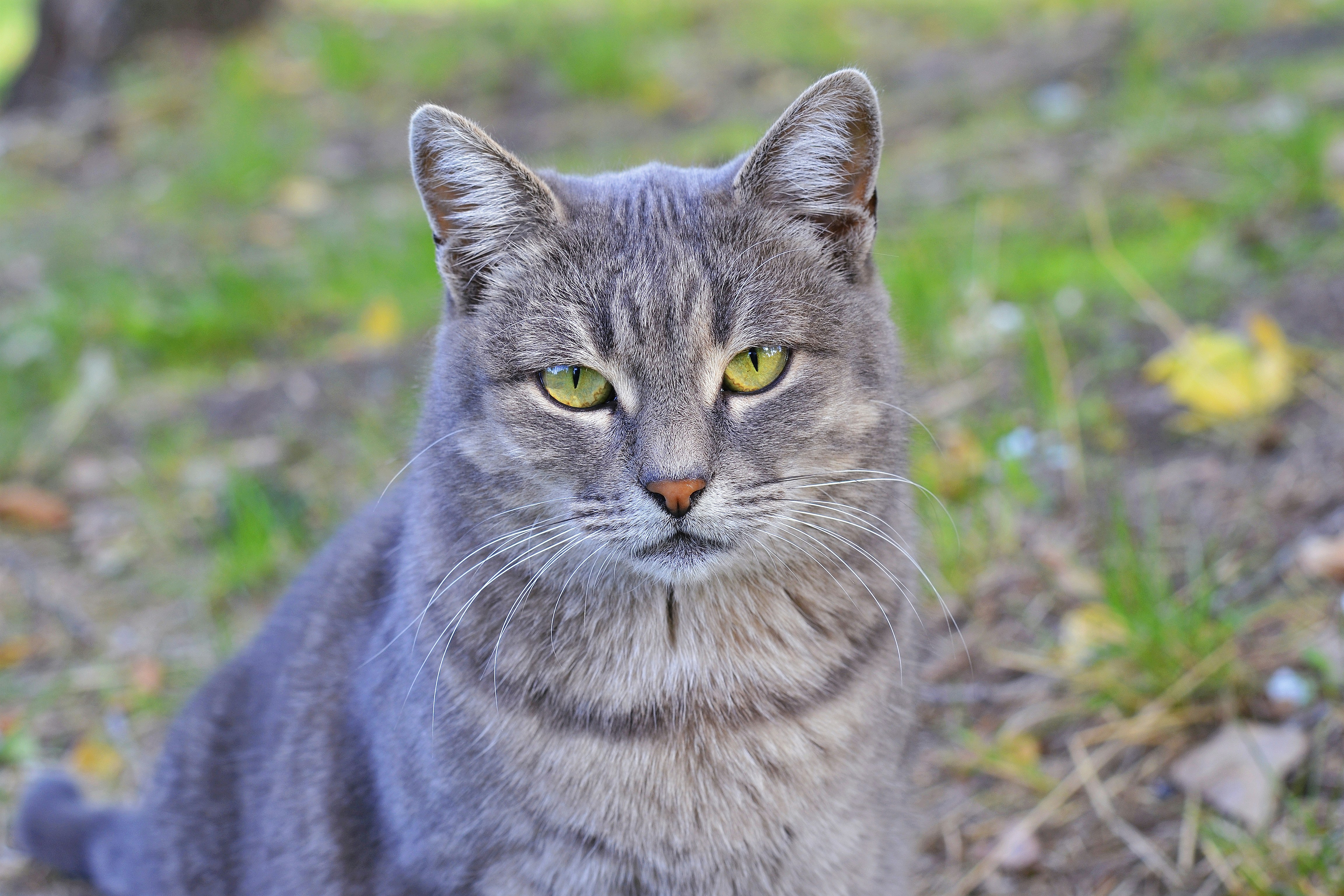 Photo by anastasiiad