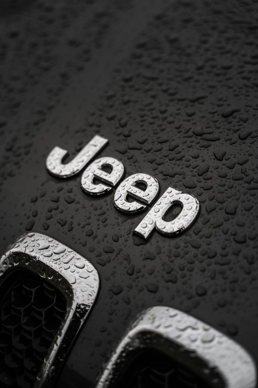 Jeep Logo| 300