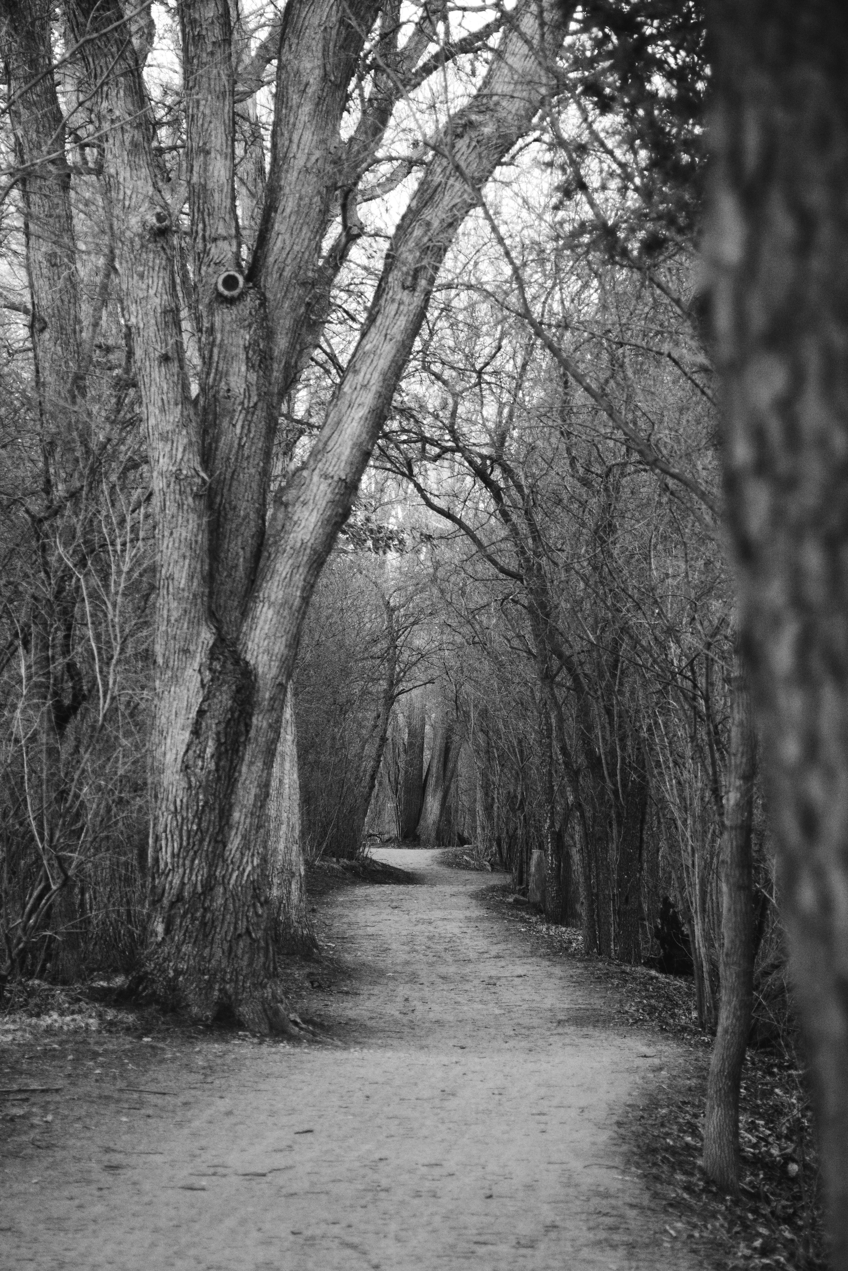 Photo by theroamingwildstead