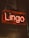 A neon sign with the word 'Lingo' in glowing orange-red is suspended against a dark background. The text is encased in a transparent rectangular box, adding a shininess to the overall appearance.