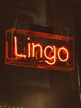 A neon sign with the word 'Lingo' in glowing orange-red is suspended against a dark background. The text is encased in a transparent rectangular box, adding a shininess to the overall appearance.
