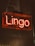 A neon sign with the word 'Lingo' in glowing orange-red is suspended against a dark background. The text is encased in a transparent rectangular box, adding a shininess to the overall appearance.