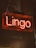 A neon sign with the word 'Lingo' in glowing orange-red is suspended against a dark background. The text is encased in a transparent rectangular box, adding a shininess to the overall appearance.