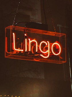 A neon sign with the word 'Lingo' in glowing orange-red is suspended against a dark background. The text is encased in a transparent rectangular box, adding a shininess to the overall appearance.