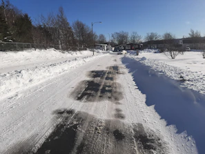 A driveway cleared of snow with clean shoveled paths flanked by snowbanks.