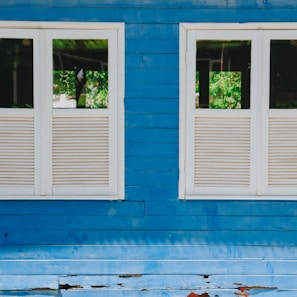 Two windows with white frames and slatted blinds are set into a blue wooden wall. The paint on the wall appears weathered, with signs of peeling at the bottom. The reflection in the windows shows a green, leafy environment outside.
