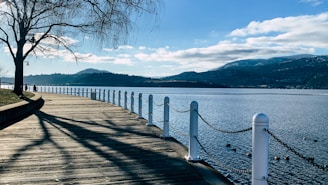 brown wooden dock on body of water during daytime