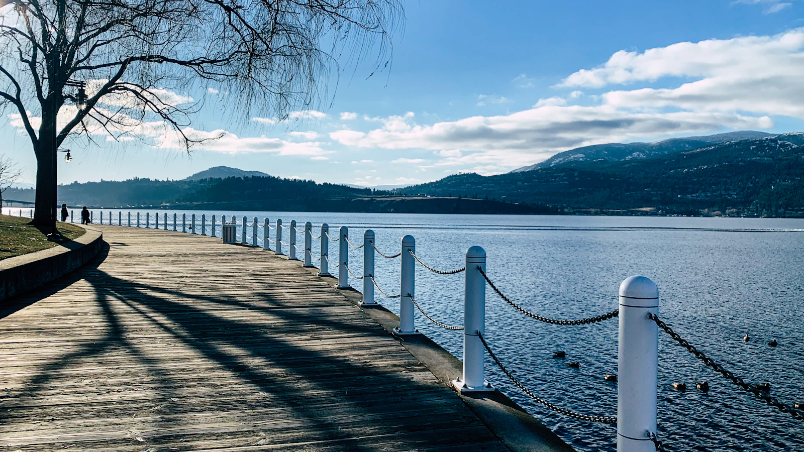 Kelowna BC Okanagan Lake waterfront with vineyards and mountains