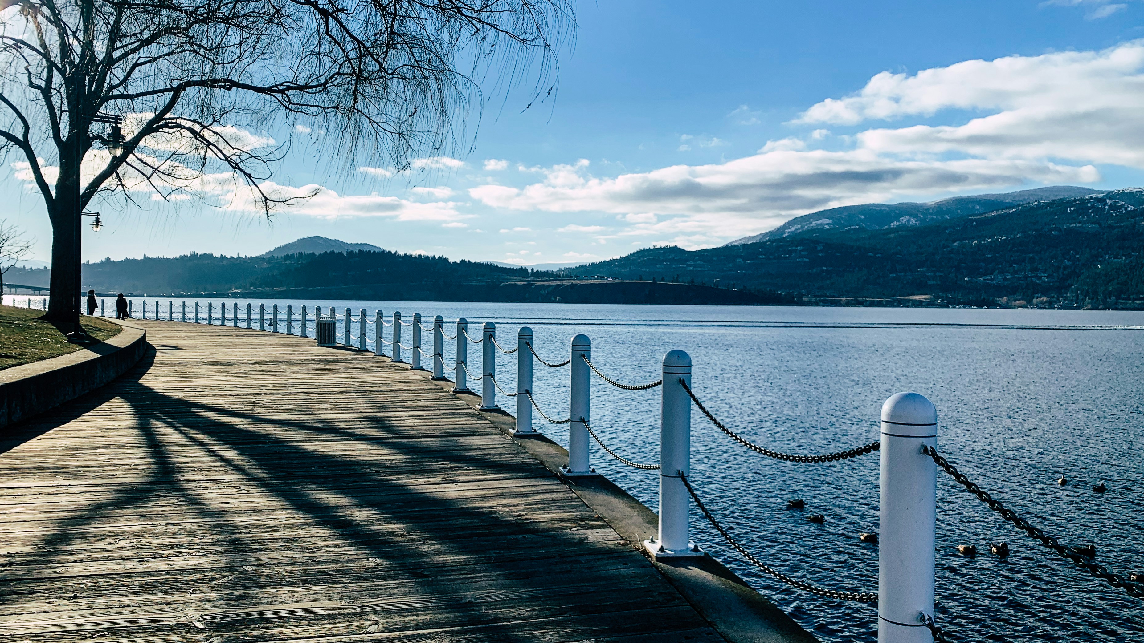 brown wooden dock on body of water during daytime