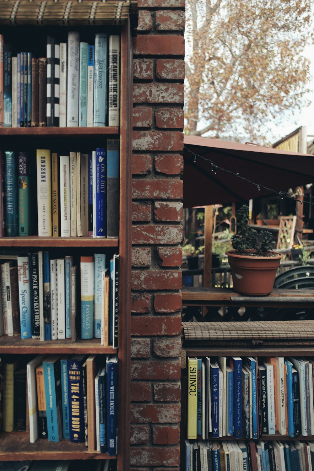 books on brown wooden shelf