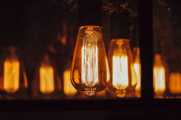 Vintage Edison filament bulb lighting